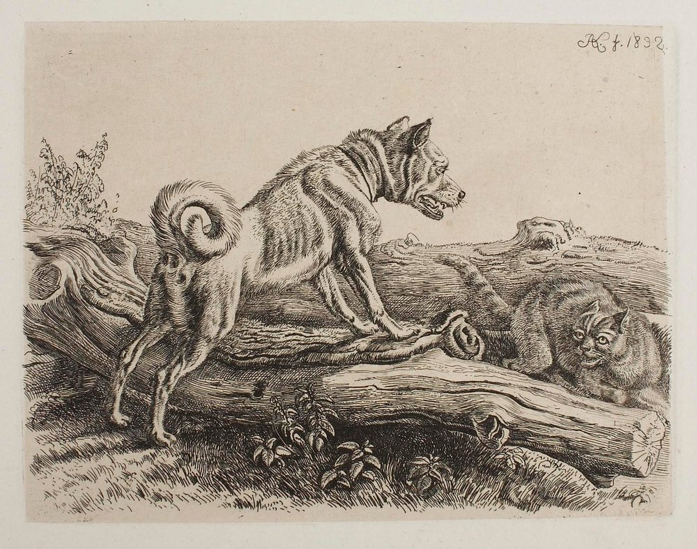 [Not yet titled] by Johann Adam Klein