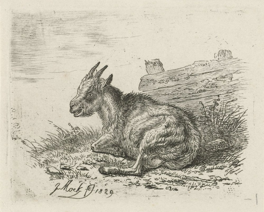 Lying Goat by a Fence by Johannes Mock