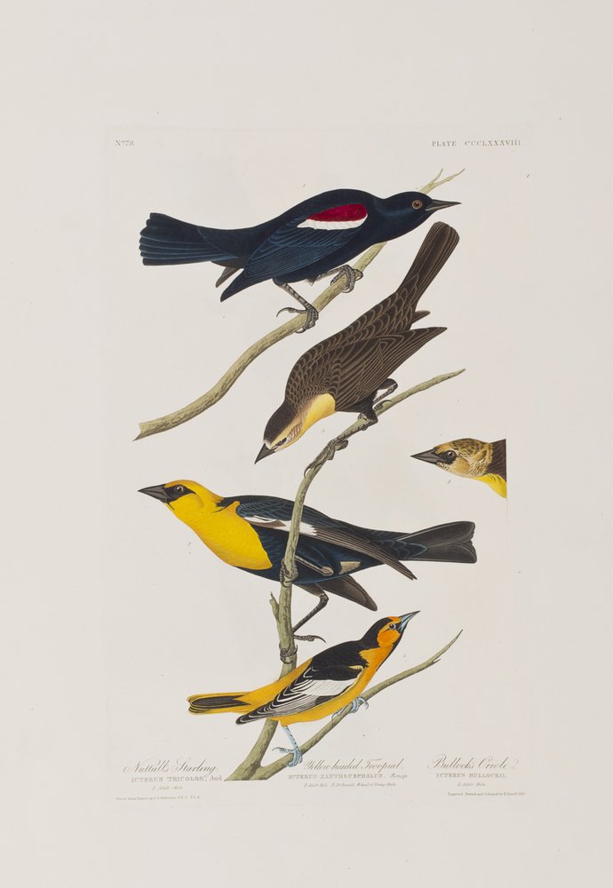 Illustration from 