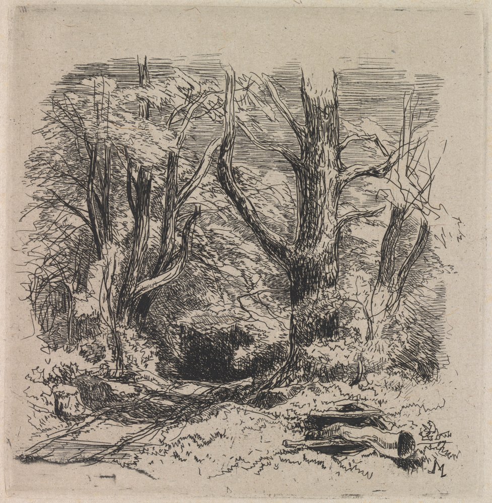 A Path through the Wood by John Middleton