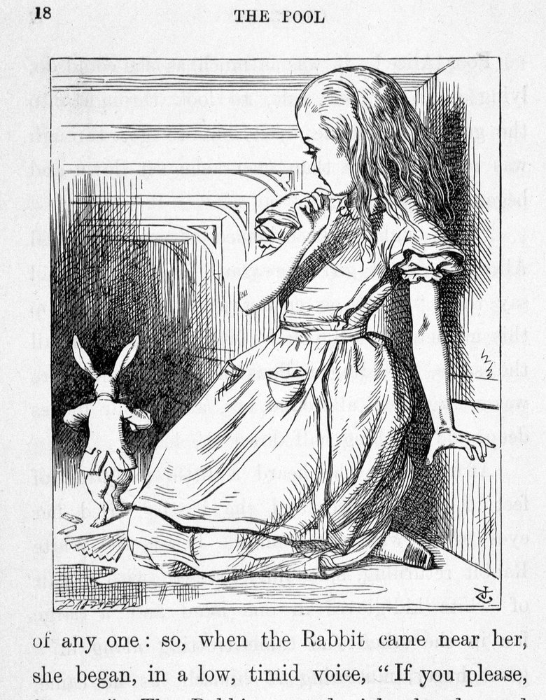 Alice and the rabbit - in 'Alice's adventures in Wonderland and through ...