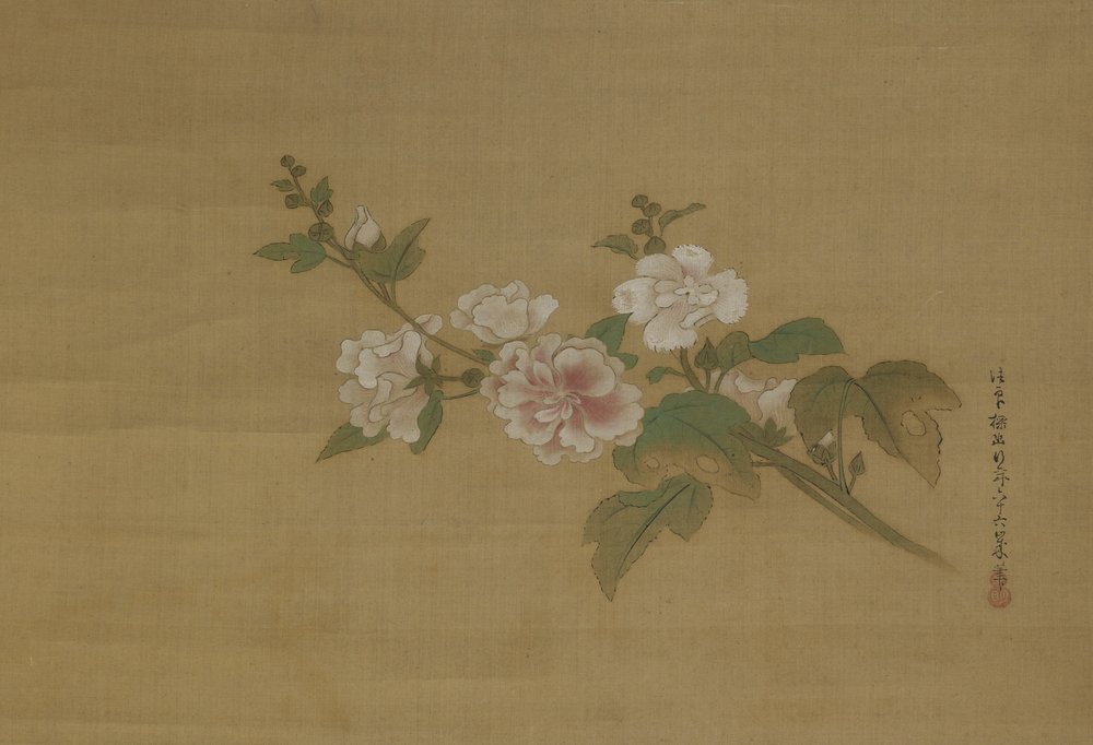 A branch of flowering hibiscus, Edo Period by Kano Tanyu