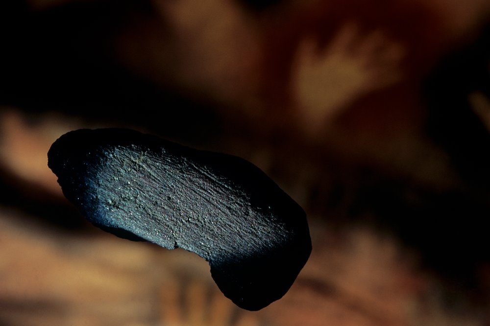 Archaeology; Hominid; Hominin; Human Evolution; Homo sapiens sapiens ...