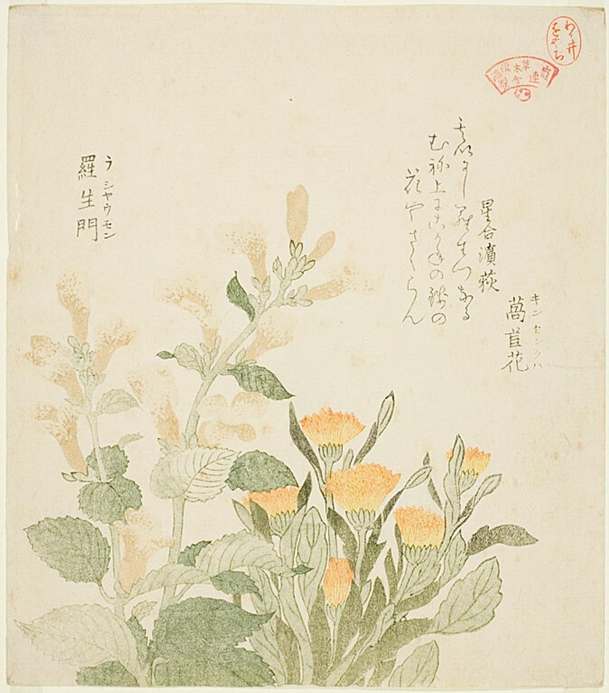 The Common Marigold and The Rajoman Flowers by Kubo Shunman