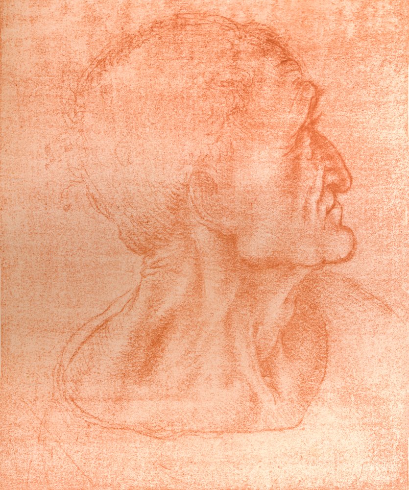 Study for the Head of Judas in 'The Last Supper'
