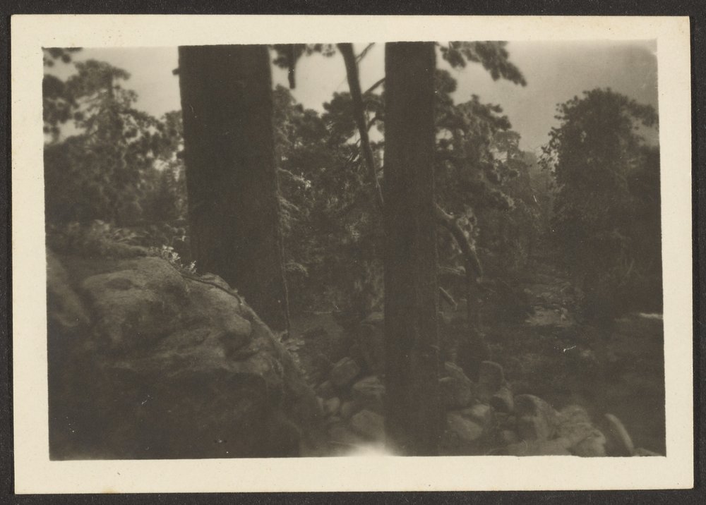 Landscape by Louis Fleckenstein