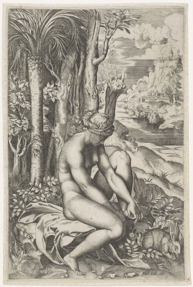 Venus Wounded by the Thorn of a Rose by Marco Dente