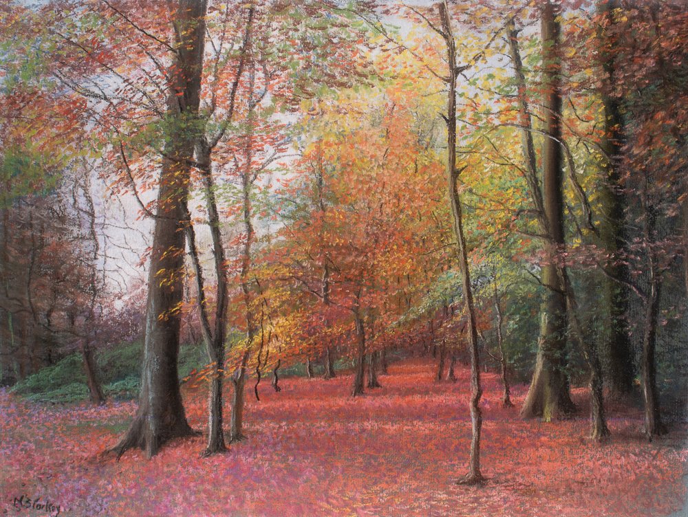 Autumn in the Woods by Margo Starkey