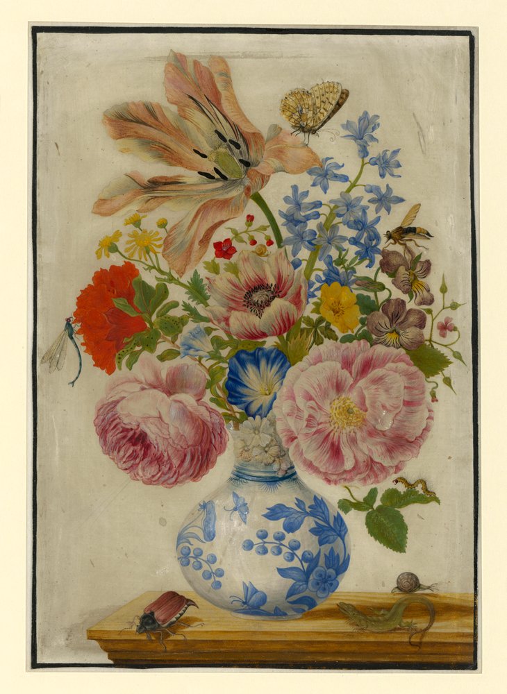 Chinese Vase with Roses, Poppies and Carnations by Maria Sibylla Merian