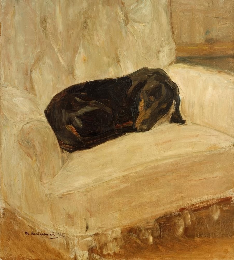 Sleeping Dachshund in an Armchair by Max Liebermann