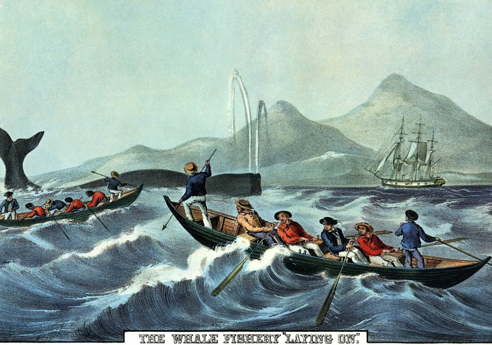 Whale Hunting Scene in the North of the United States