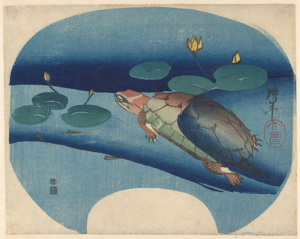 Fan print with turtle swimming among water lilies by Onishi Chinnen