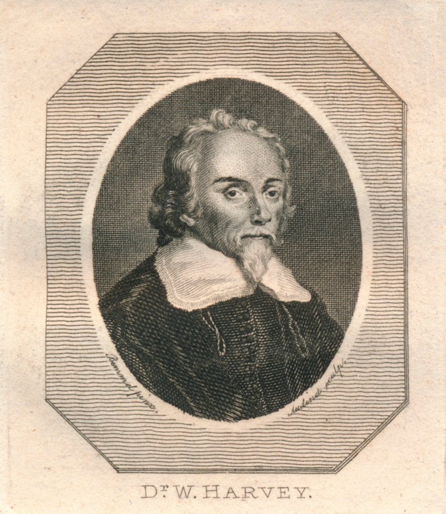 Dr. W. Harvey by Philip Audinet