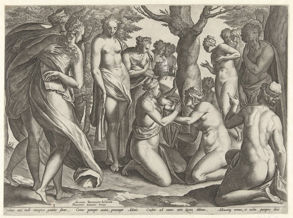 Birth of Adonis (The Story of Adonis) by Philips Galle