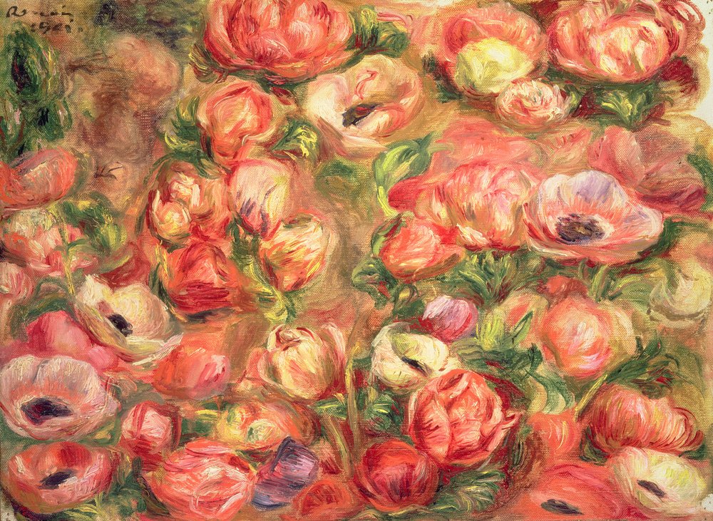 Bed of anemones, 1901 by Pierre-Auguste Renoir