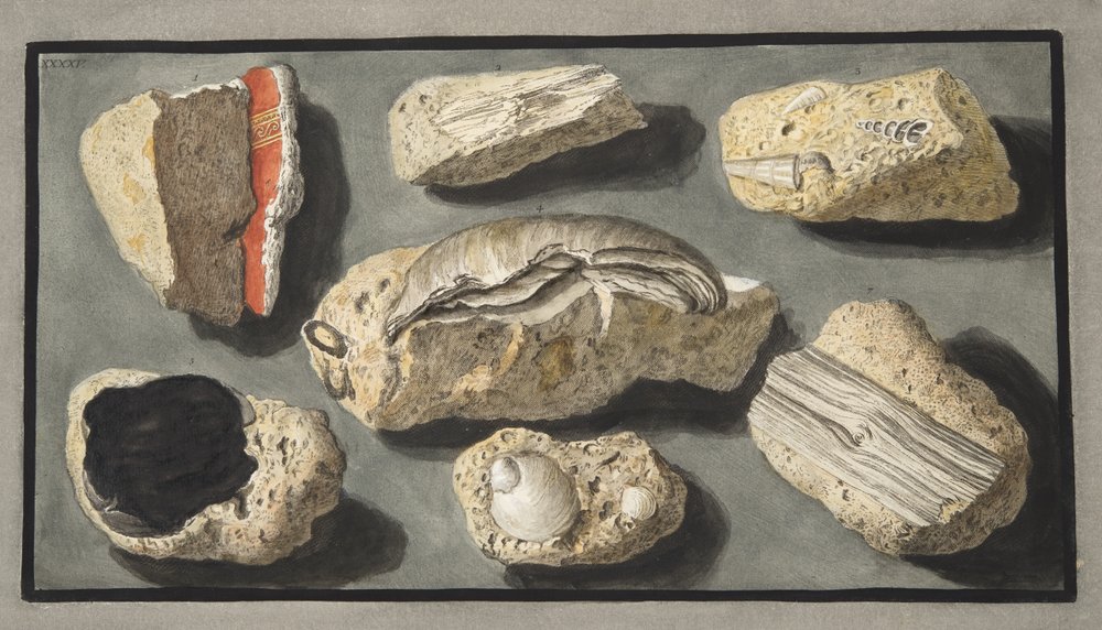 Specimens of Tufa found in and around Herculaneum, Plate XXXXV, from 