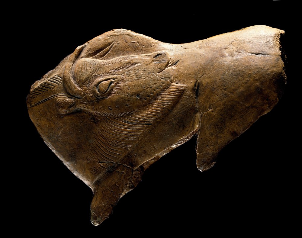 Bison getting up (Sculpture in reindeer wood from the shelter of the ...