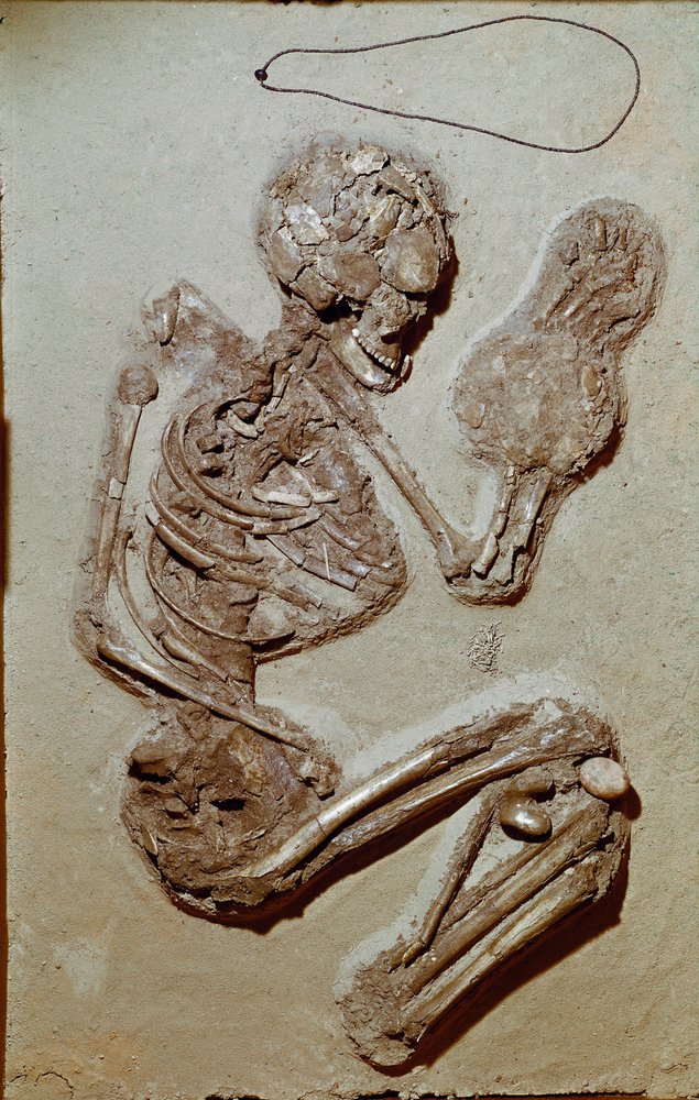 Prehistory: Female Skeleton from the Upper Neolithic