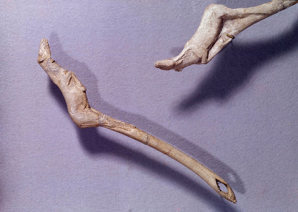 Prehistory: two thrusters said to the jumping horse