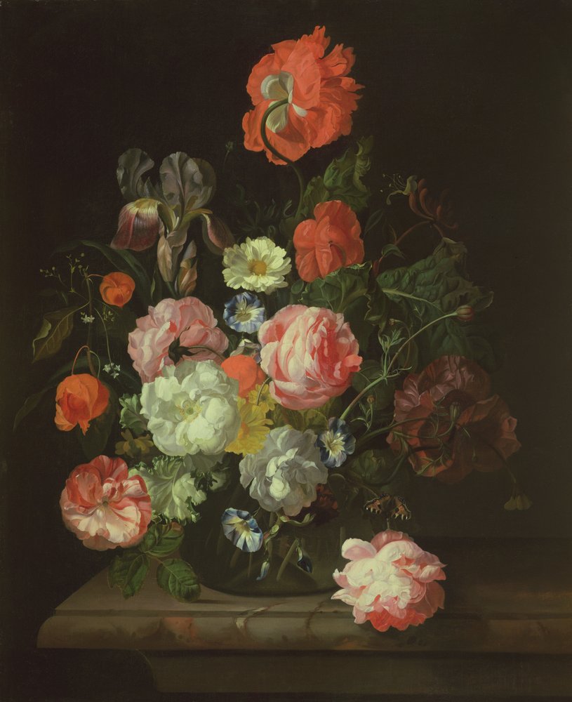Flower in a Glass Vase by Rachel Ruysch: Fine art print