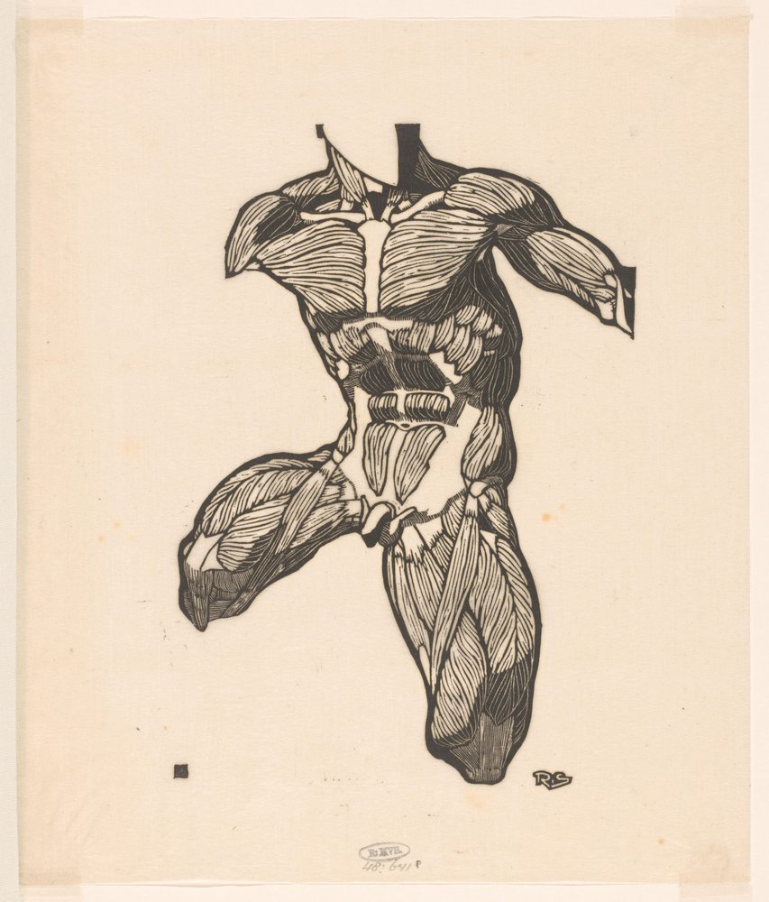 Anatomical Study of the Neck, Abdominal, and Thigh Muscles of a Man by Reijer Stolk