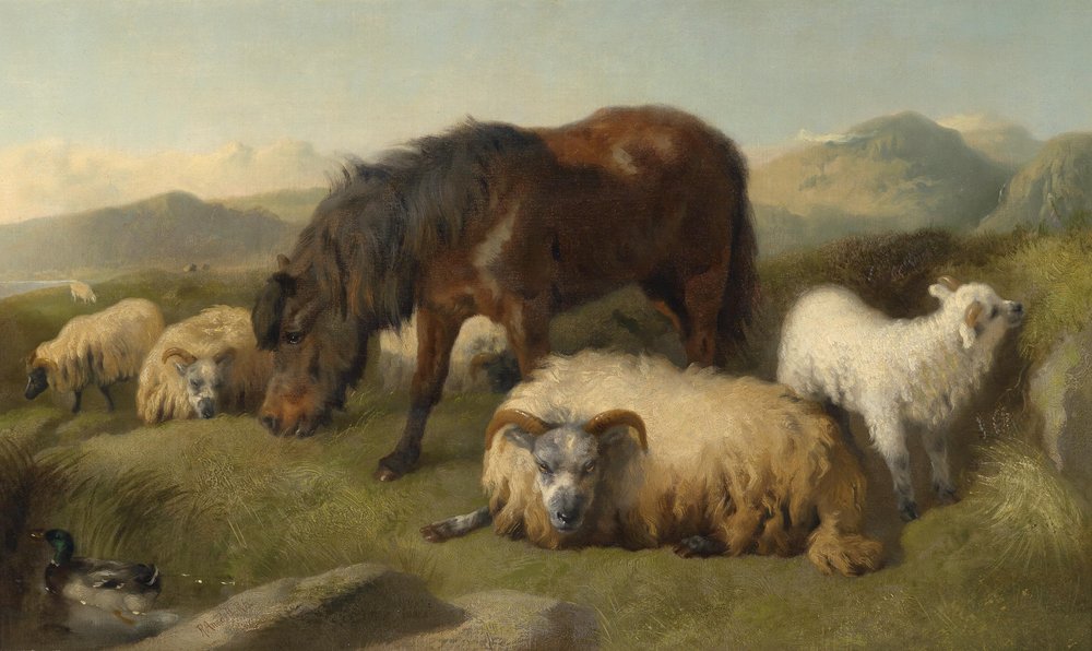 Goats, Sheep, and a Pony by Richard Ansdell