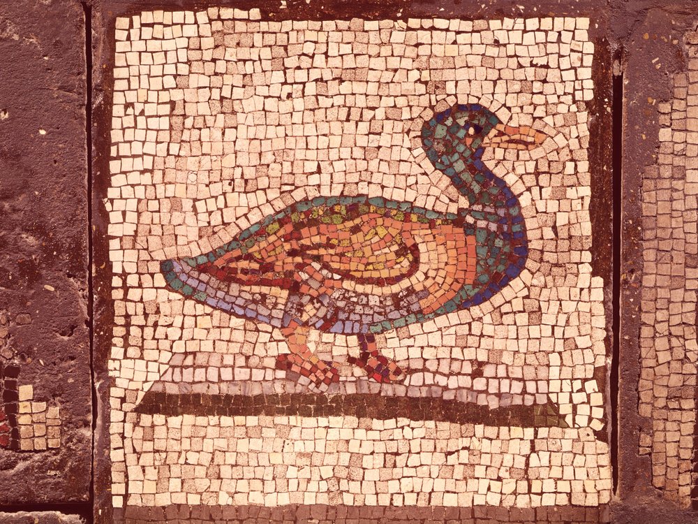 A Duck (detail) by Roman: Highest-quality art reproduction