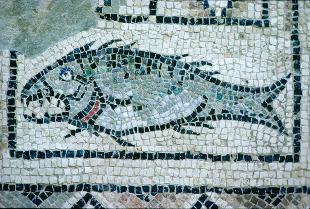Fish on a Roman floor (mosaic) by Roman: Fine art print