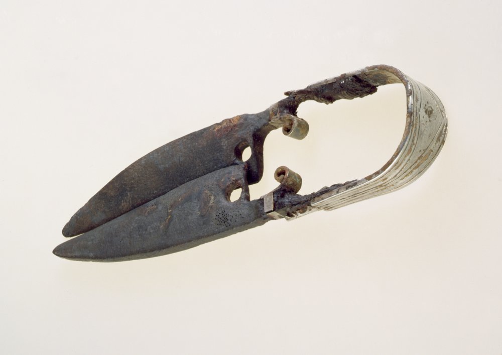 Pair of Shears by Roman Roman: Premium art reproduction