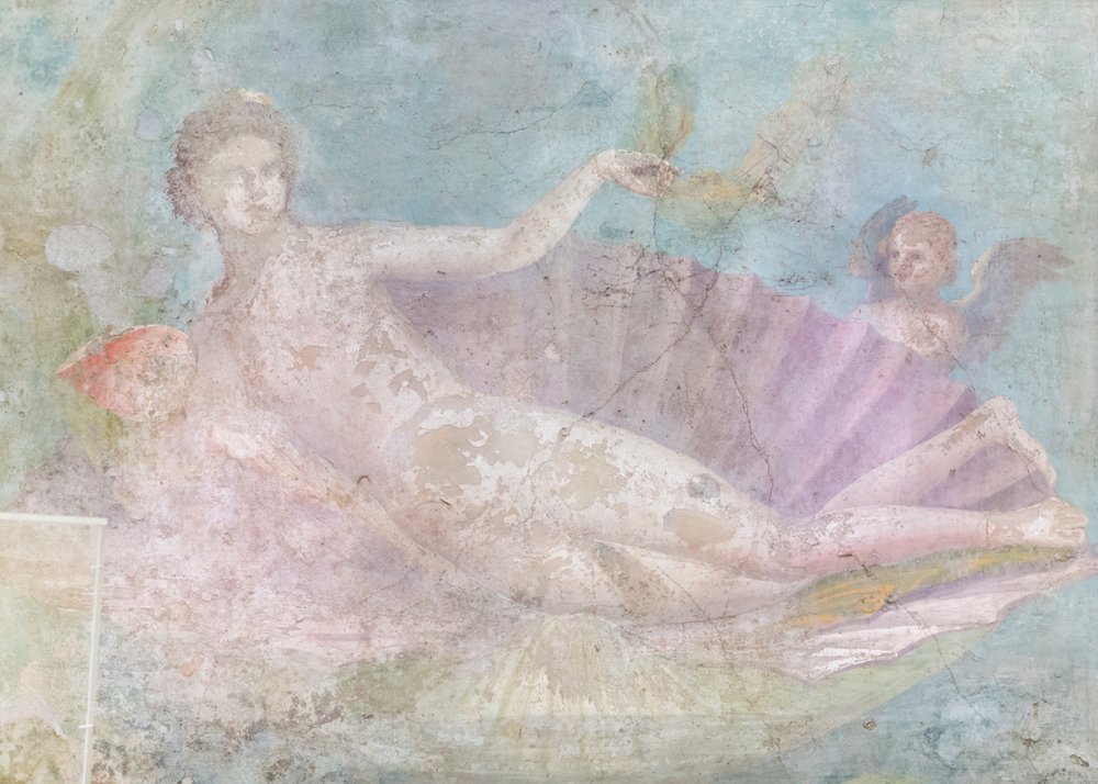 Venus on Shell by Roman Roman: Premium art reproduction
