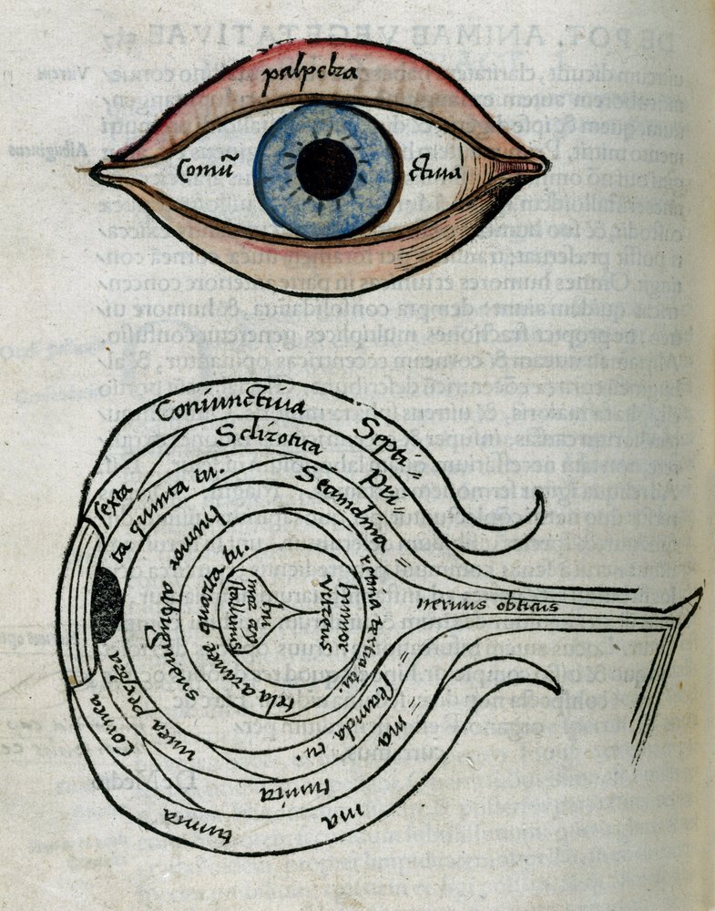 Structure of the eye by Unbekannt: Buy fine art print