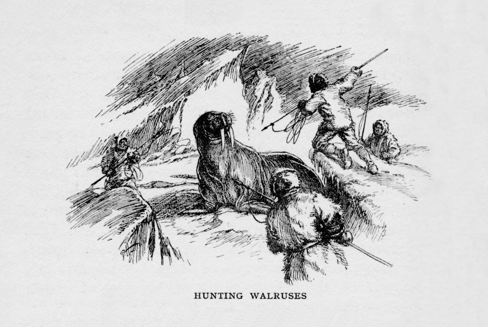 Hunting Walruses, c1927-1928 by Unbekannt