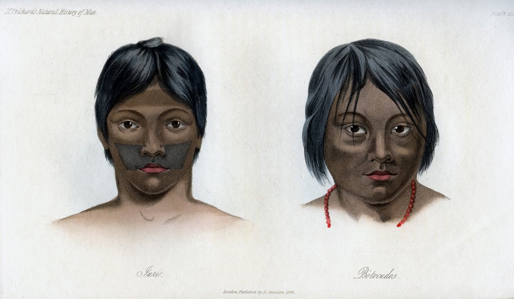Juri and Botocudos, of the Brasilio-Guarani nation, 1848 by Unbekannt