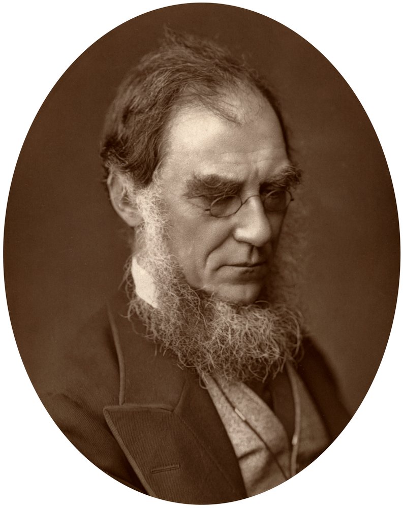 Sir Joseph Dalton Hooker, Director of Royal Gardens at Kew by Unbekannt