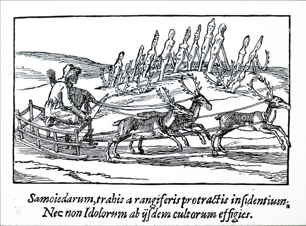 A sledge being pulled by reindeer in Northern Siberia