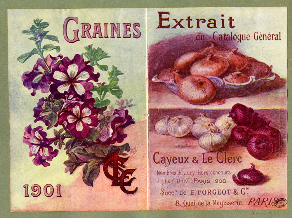 Seeds by Unbekannter Künstler