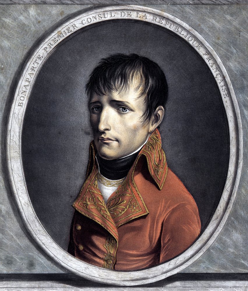 Portrait of Bonaparte, First Consul of the French Republic (1801)