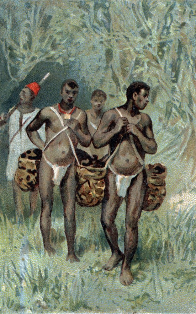 Recollecting rubber in Congo. (chromolithography of the late 19th century) by Unknown artist