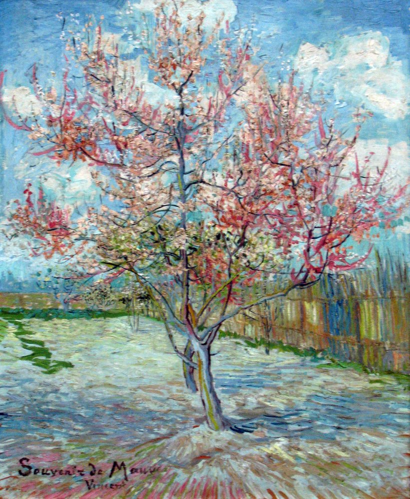 Pink Peach Trees (Souvenir de Mauve) by Vincent van Gogh