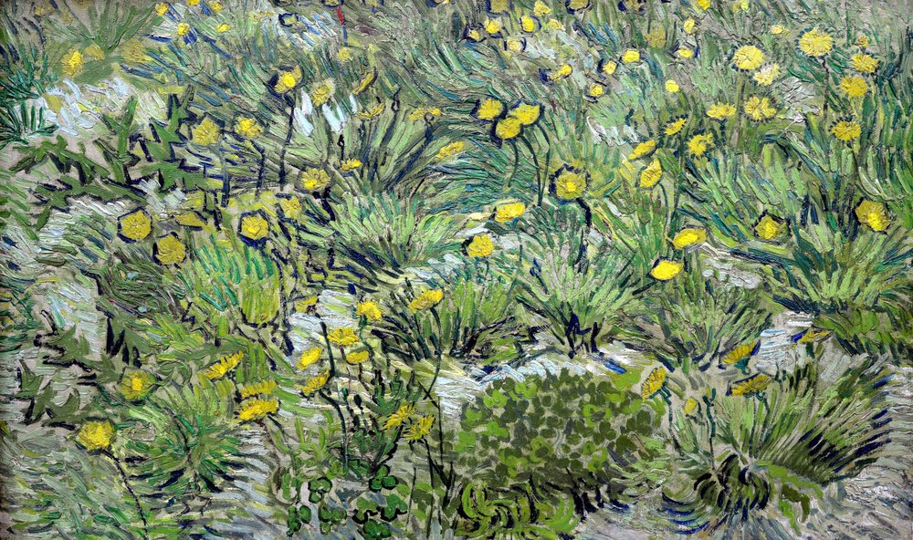 Dandelions, 1889 by Vincent van Gogh