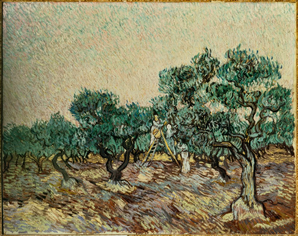 Olive pickers by Vincent van Gogh