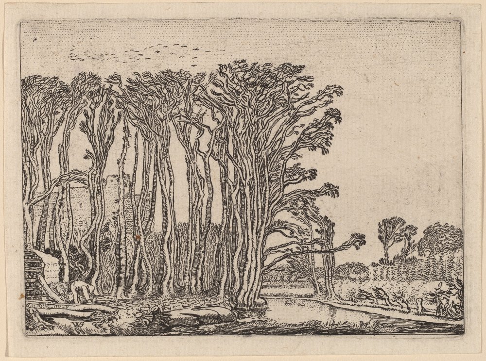 The Charcoal-Burner by Willem Buytewech