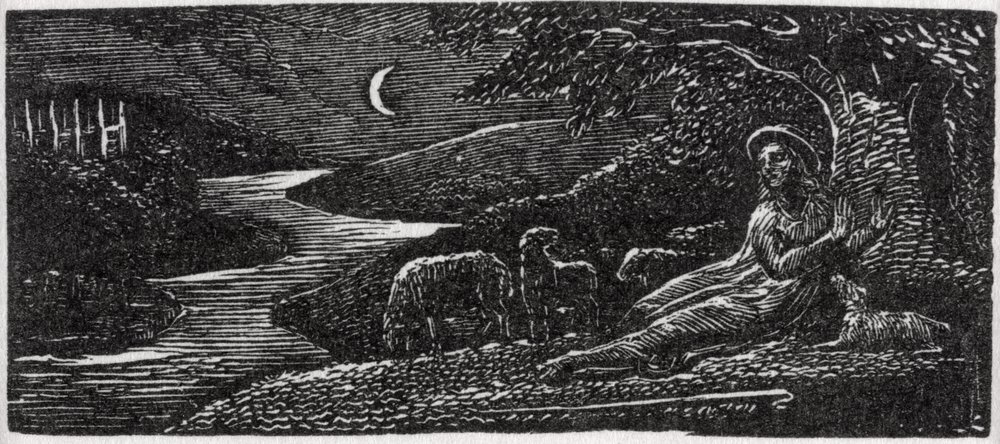 Colinet Resting at Cambridge by Night, illustration from Dr. Thornton's ...