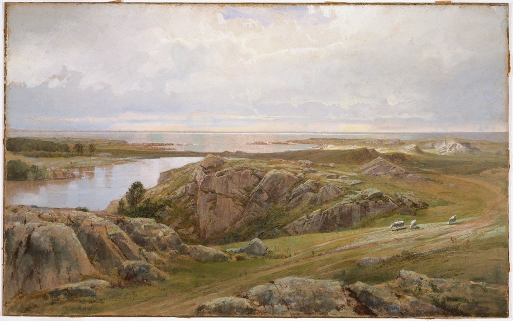 Lily Pond, Newport by William Trost Richards