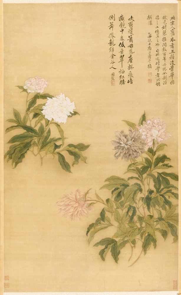Peonies by Shouping Yun