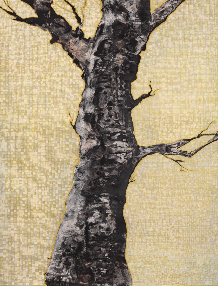 Striking Bare Tree by Alex Walsh