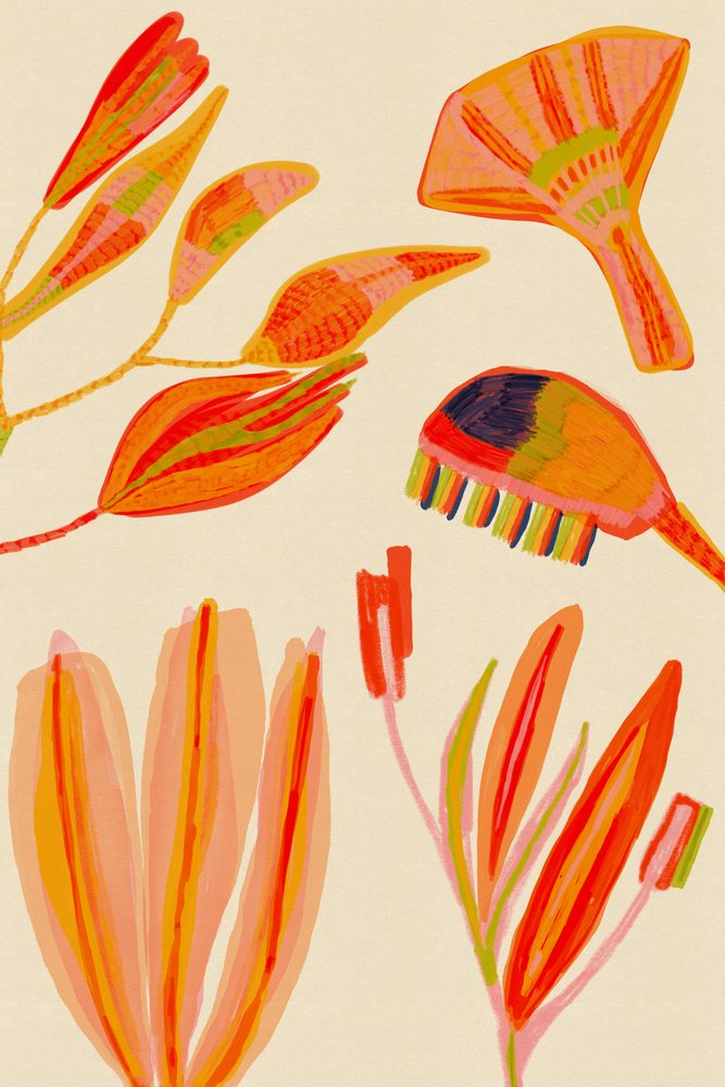 Vilia by Alexander Adiels