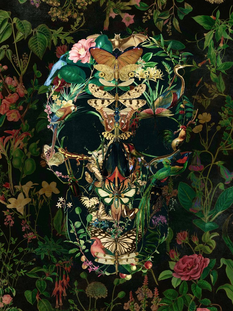 Dark Botanical Skull by Ali Gulec