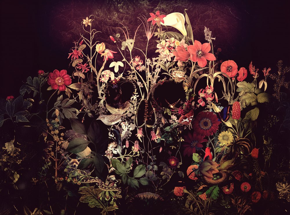 Dark Floral Skull by Ali Gulec