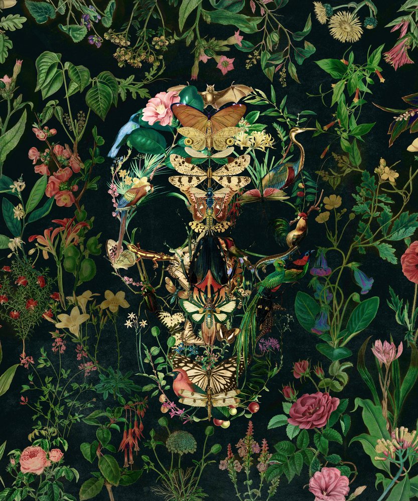 Dark Floral Skull by Ali Gulec